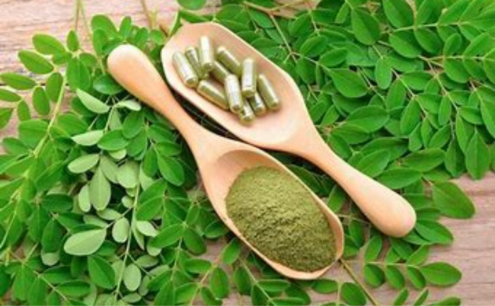 Moringa powder increase testosterone, Organic india ,moringa powder, Testosterone hormone, Moringa powder nedir, Does moringa powder increase testosterone,