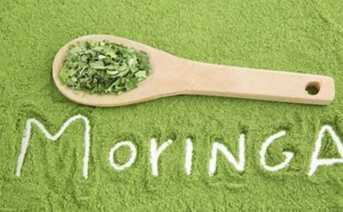 Moringa benefits, powder increase testosterone, Organic india ,moringa powder, Testosterone hormone, Moringa powder nedir, Does moringa powder increase testosterone,